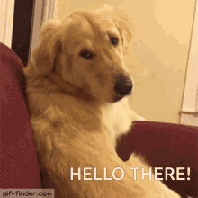 Hello there!
